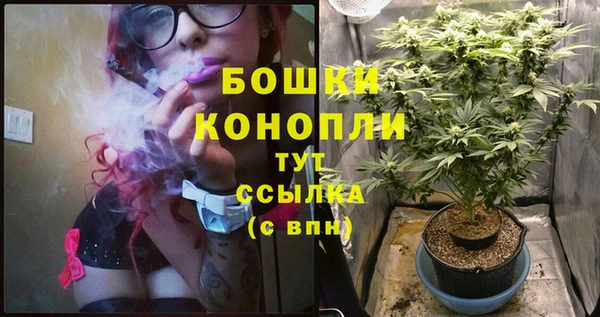 стафф Абдулино