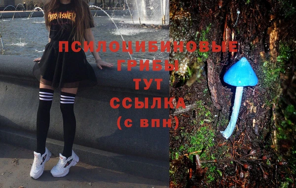 а пвп мука Абаза