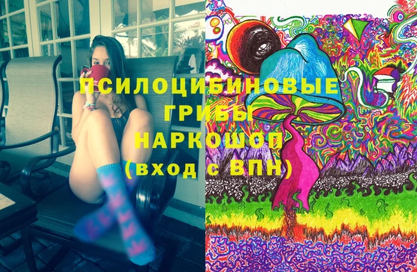 а пвп мука Алзамай