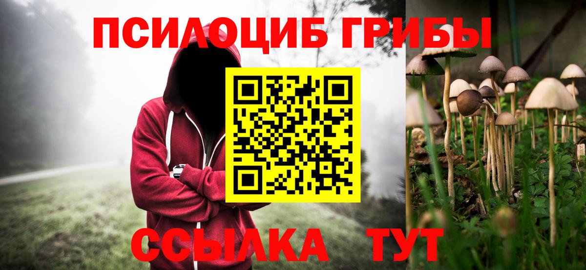 Галлюциногенные грибы Psilocybe Сочи