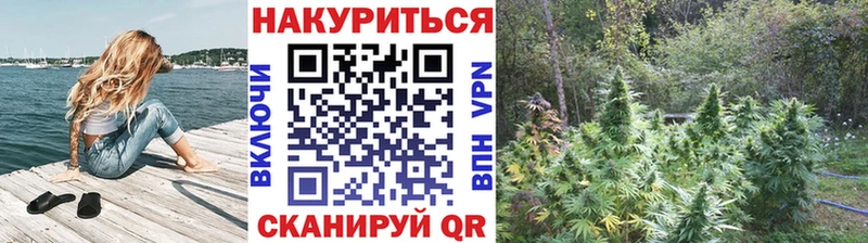Бошки марихуана Bruce Banner Сочи